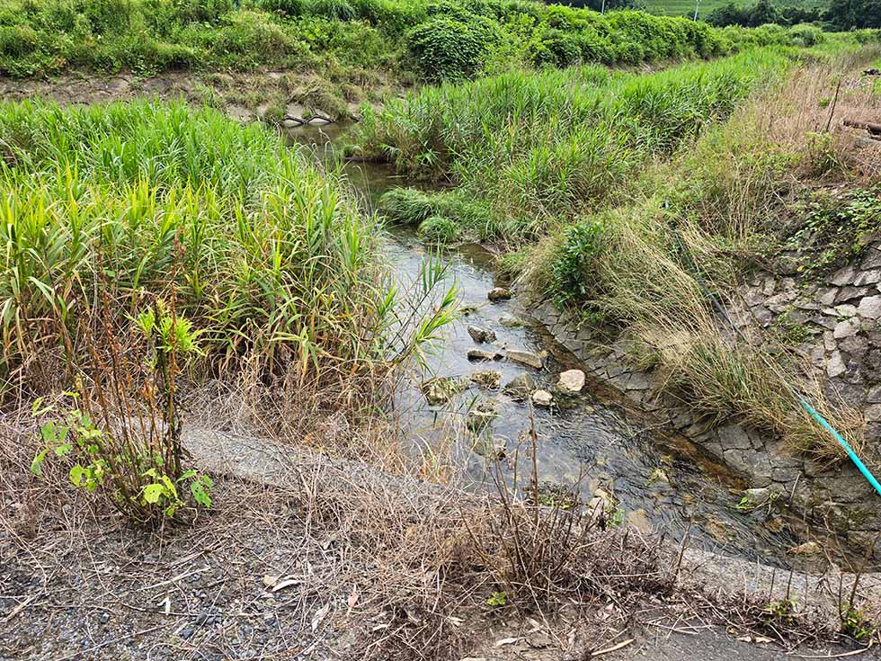 Water from the spring joins the river.