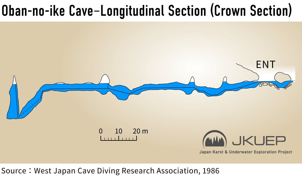 大番の池の洞窟の測量図の横断面。
