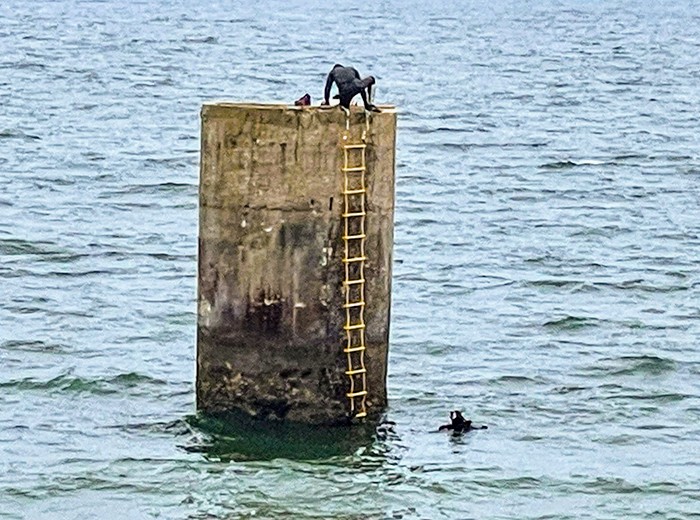 Ascending to the shore pier