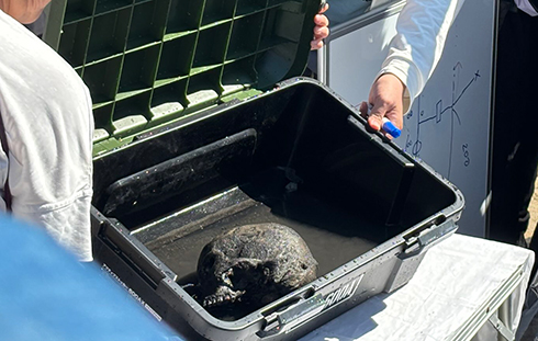 Human skull salvaged from Chosei coal mine