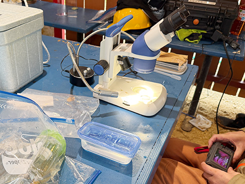 On land, researchers check whether the collected material contains any living organisms.