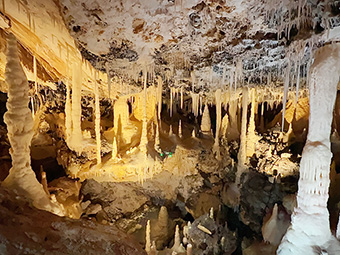 Hoshino cave in South daito island