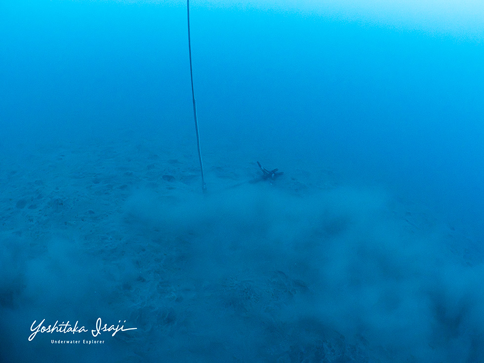 The lower end of the line, and the anchor. Nagara was not there.
