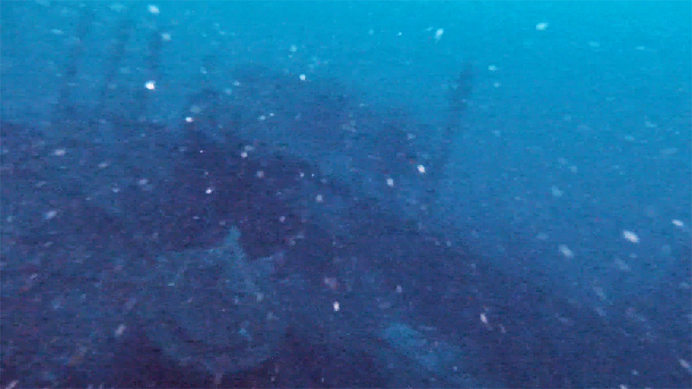From the ROV footage (courtesy of Bellport Uto)
