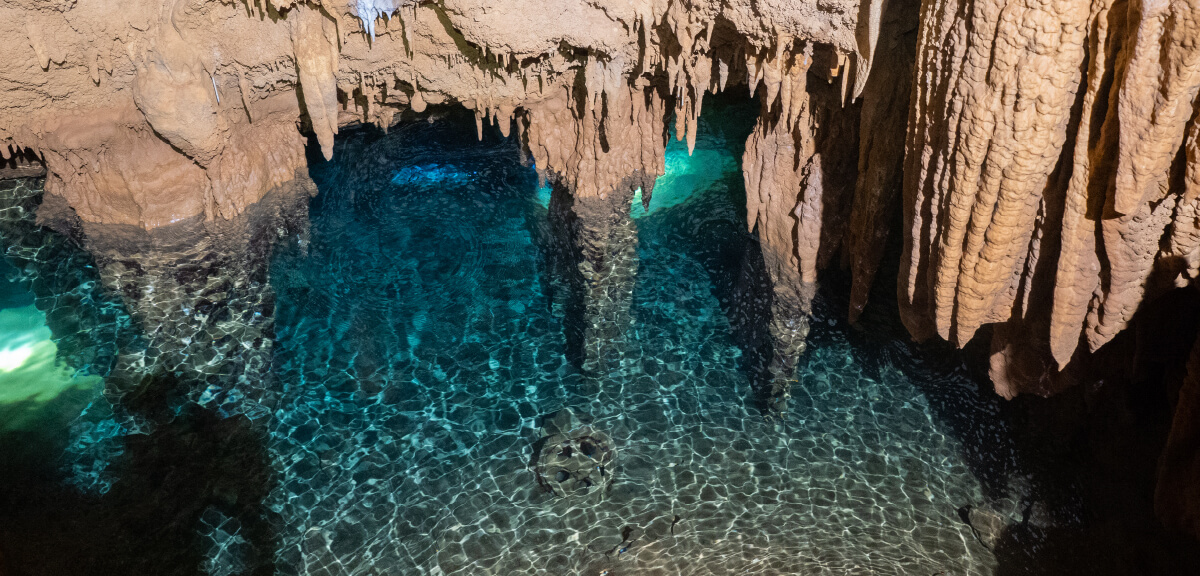 The view of japanese underwater limestone cave(水中鍾乳洞の探検の風景)